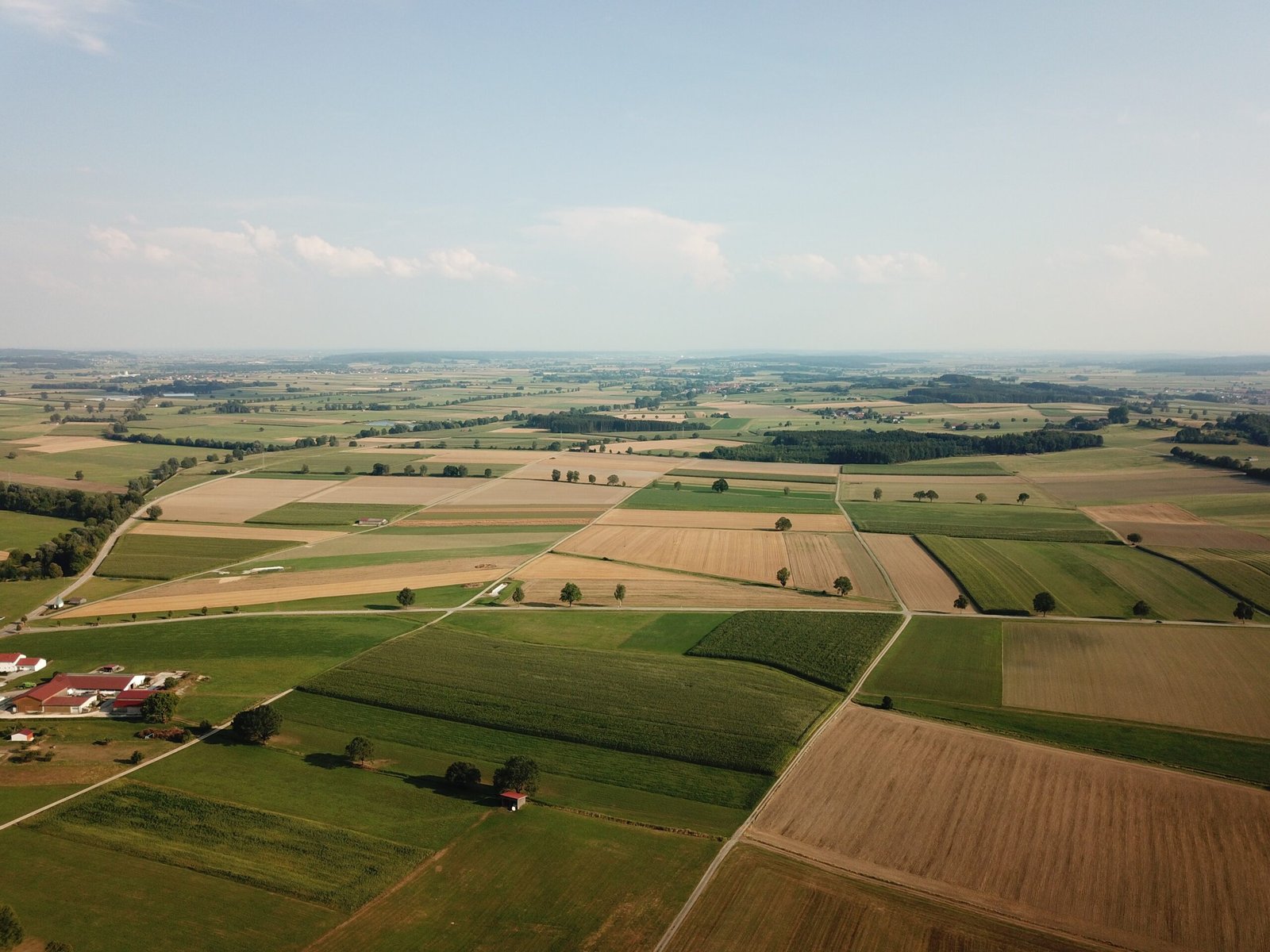 Agricultural Sector
