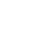 hamed group